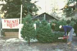 Christmas Trees