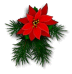 Spruce spray